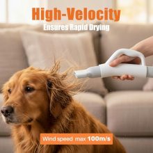 5-in-1 Dog Hair Dryer, 5 Groomer Tools, 3 Suction Modes - view 4 of 5 | KMFURNILA