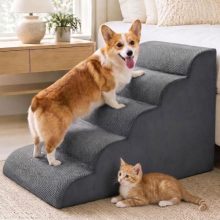 5-Step Dog Stairs for Large Dogs and Cats, 22in H Dog Steps - view 1 of 5 | KMFURNILA